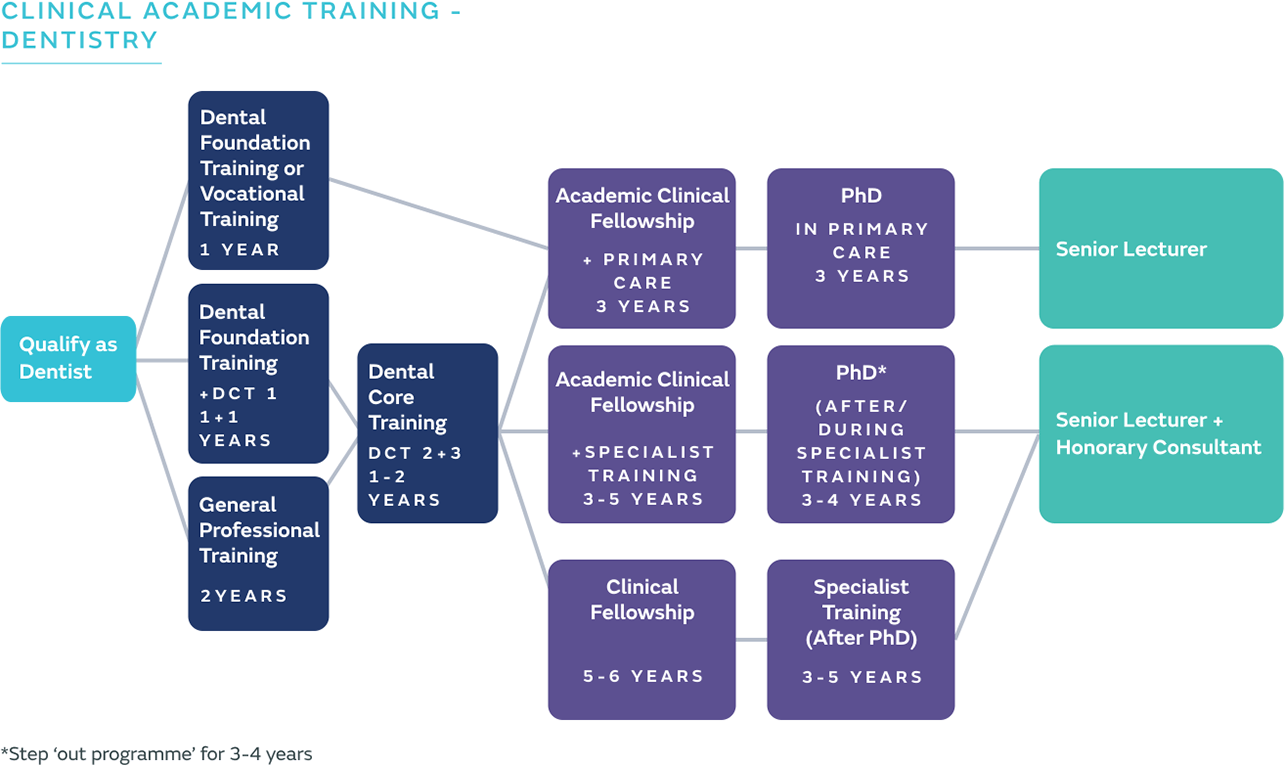 Dental Clinical Academic Training Pathway Career Flow Chart