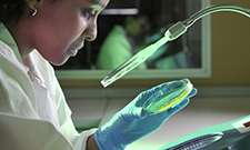 Francis Crick Institute - development fellowships for clinicians image