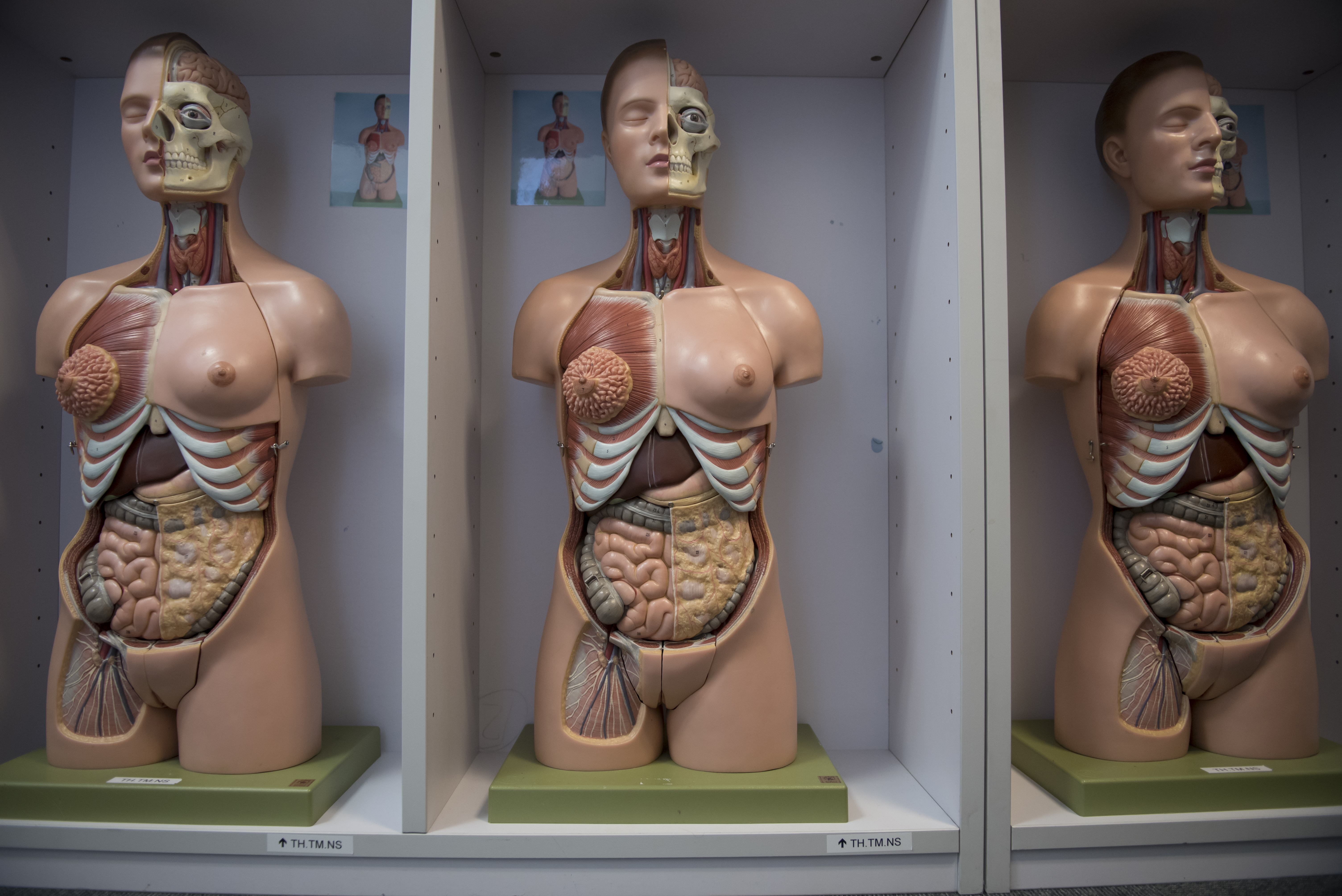 NIHR Undergraduate Internship Programme - now open image